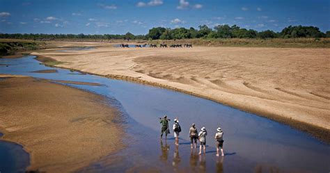 20 National Parks in Zambia - Overview | Reviews | Safari - Rhino Rest