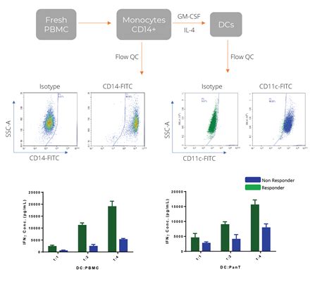 Custom Cell Isolation Services | Primary Cells Isolation