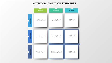 A 2024 Guide on Matrix Organizational Structure and Everything it contains