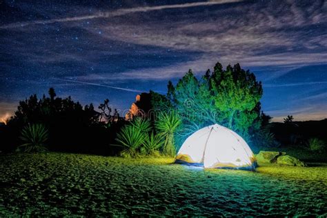 Camping at Night in the Desert Stock Photo - Image of starry, trees ...