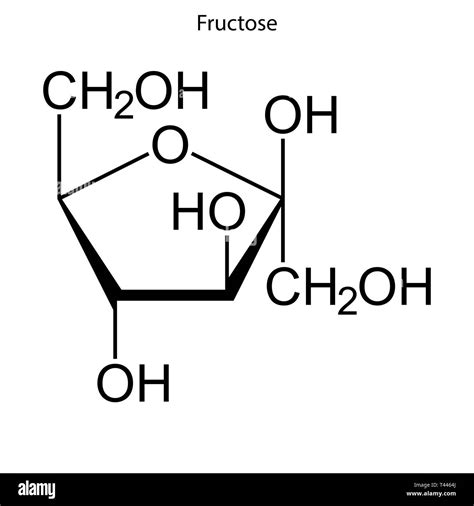 Fructose Molecule Diagram