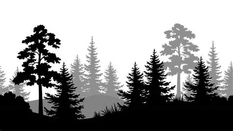 1,800+ Black And White Woods Stock Illustrations, Royalty-Free Vector ...