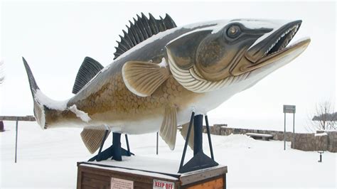 Walleye Statue on Mille Lacs Lake Gets a Fresh Remodel - Lakeland PBS