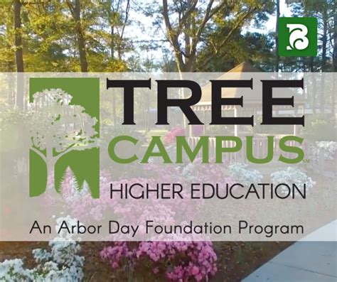 Bladen Community College Receives Tree Campus Higher Education ...