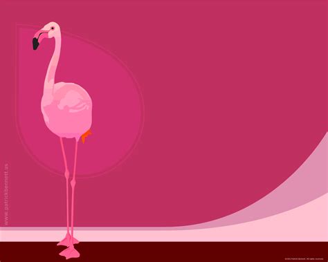 🔥 [50+] Free Pink Flamingo Computer Wallpapers | WallpaperSafari