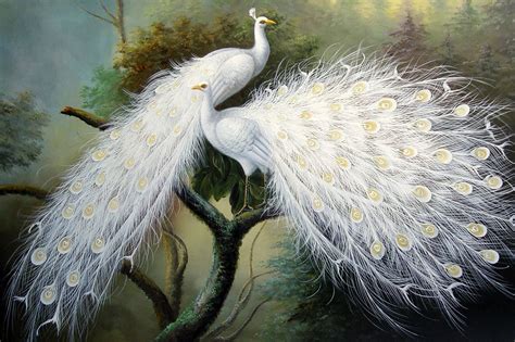 White Peacock Living Oil Painting Animal Painting Home Decotation Wall ...