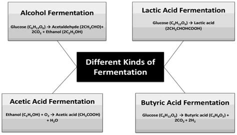 Different types of Fermentation on the basis of the end product formed ...