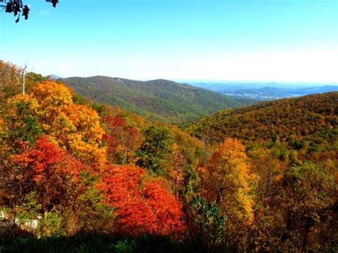 Fall foliage on Skyline drive. - Picture of Skyline Drive, Shenandoah ...