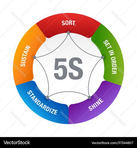 5s workplace organization diagram scheme Vector Image