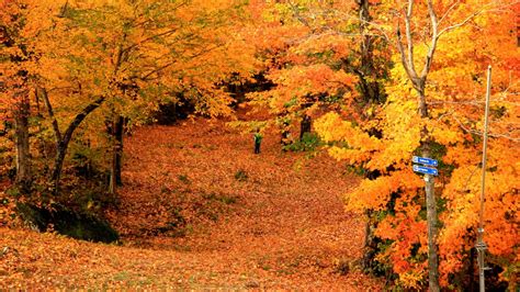 Top Spots for Fall Foliage | Eastern Townships (Quebec)