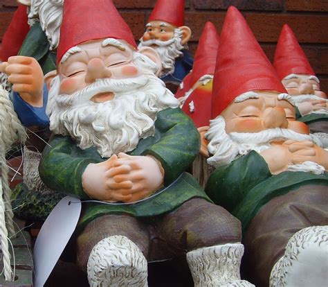 * Gnome Garden, Fairy Garden, Caricatures, Funny Gnomes, Gnome House ...