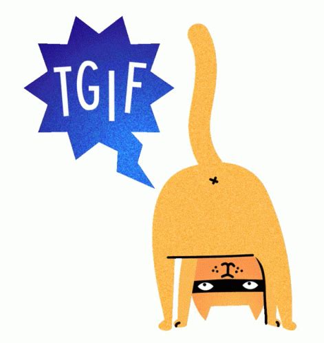 Cat Friday Sticker - Cat Friday Weekend - Discover & Share GIFs