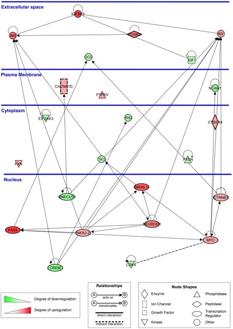 Genes are represented as nodes, biological relationships between two ...