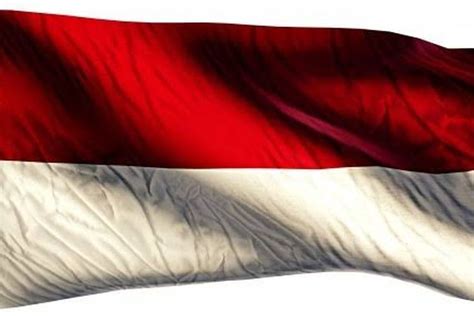 Disebut Mirip, Inilah Perbedaan Bendera Merah Putih Indonesia dan ...