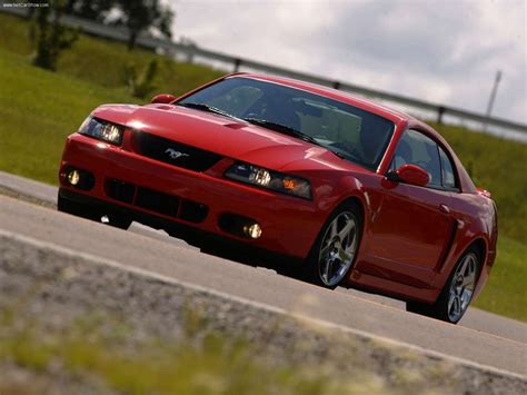 2003 Ford Mustang Cobra Terminator Wallpapers - Wallpaper Cave