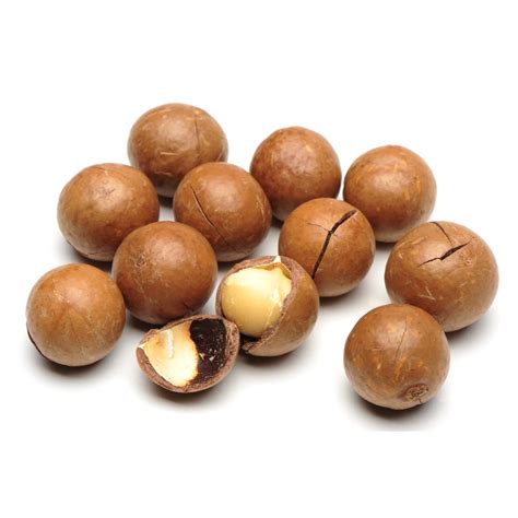 Macadamia Nuts In Shell - Nuts - Wholesale - Bulk - Nutsite