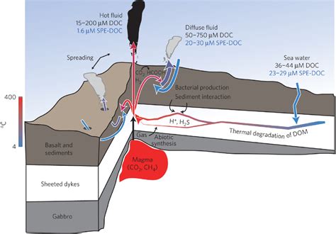 schematic hydrothermal vent environments 2015-h.graphic - UGA Today