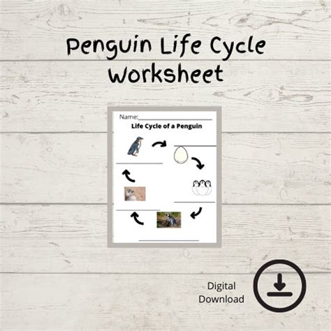 Life Cycle of a Penguin Worksheet Digital Download Kindergarten First ...