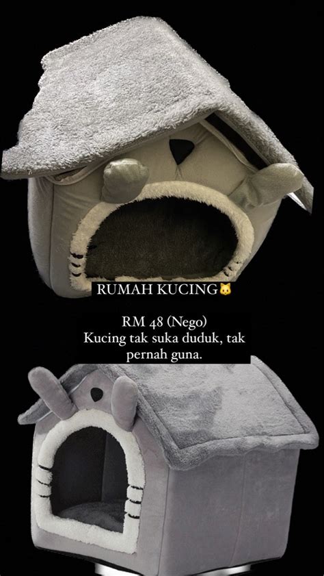 Rumah kucing, Pet Supplies, Homes & Other Pet Accessories on Carousell