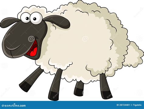 Funny Sheep Cartoon Stock Image - Image: 28724481