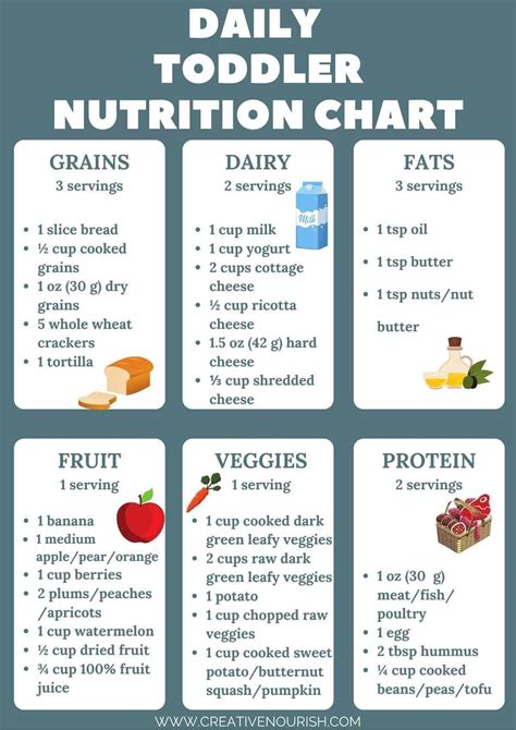 Easy Guide to Daily Toddler Nutrition Chart - Creative Nourish