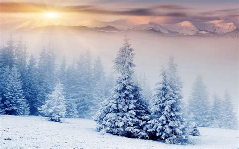 nature, Landscape, Winter, Snow, Mountain, Forest Wallpapers HD ...