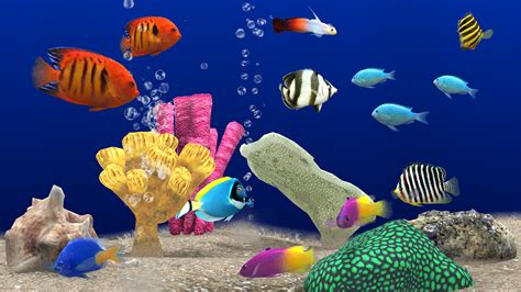 3D Aquarium Wallpaper (52+ images)