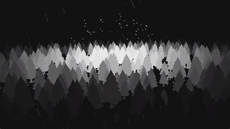 Black and white forest [1920x1080] : r/wallpaper