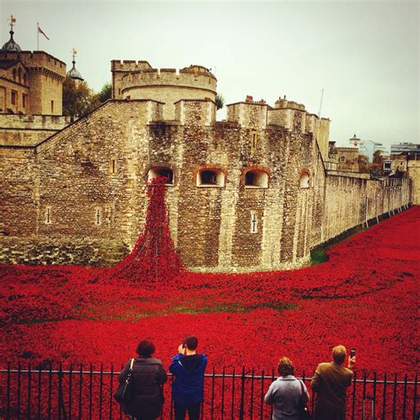 Tower of London. Poppies on display to remember fallen soldiers during ...