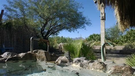 El Dorado Hot Springs in Tonopah | El Dorado Hot Springs 41225 W Indian ...