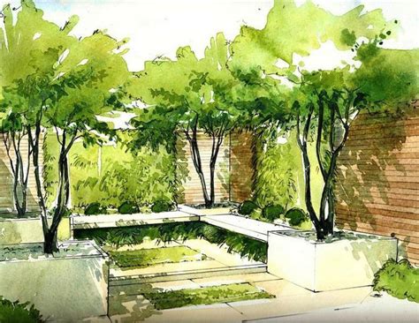 Helen Thomas | Landscape design drawings, Landscape architecture design ...