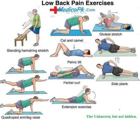 24 best Stretches To Relieve Lower Back Pain images on Pinterest ...