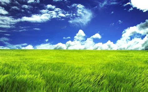 Grass Field Wallpapers - Top Free Grass Field Backgrounds - WallpaperAccess