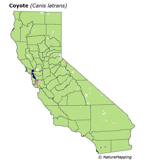 California Distribution Map - Coyote (Canis latrans)