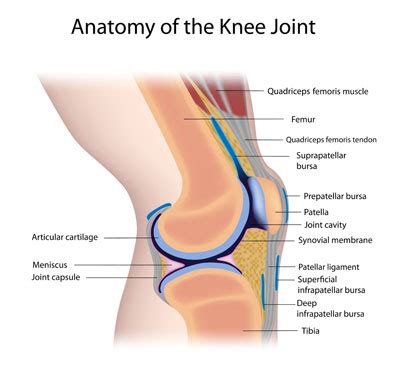 Knee Pain Relief & Treatment | Physical Therapy for Knee