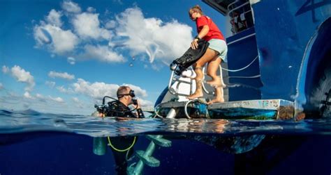 15 Liveaboard Diving Tips to Have the Best Trip Ever - Coleman Concierge