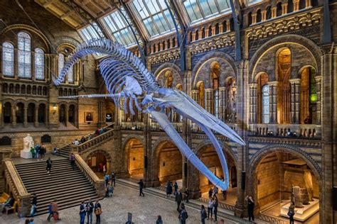 The Best Museums In London To Visit In 2024