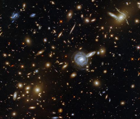 Hubble Gazes at a Galactic Menagerie