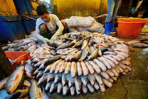 The Irrawaddy Delta – Where Land and Sea Intermingle