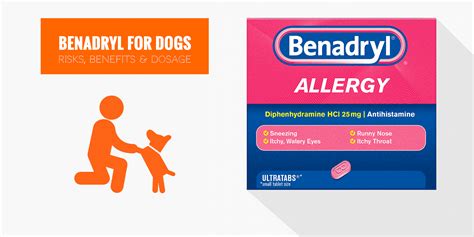 Benadryl For Dogs — Usage, Safety, Dosage, Side Effects & Benefits