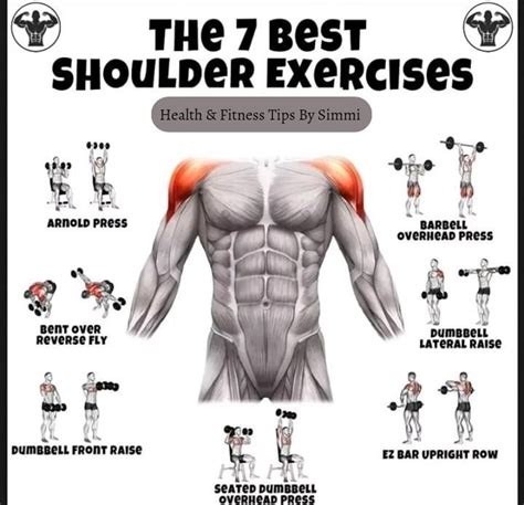 The 7 Best Shoulder Exercises...💪🏻😉 | Best shoulder workout, Shoulder ...