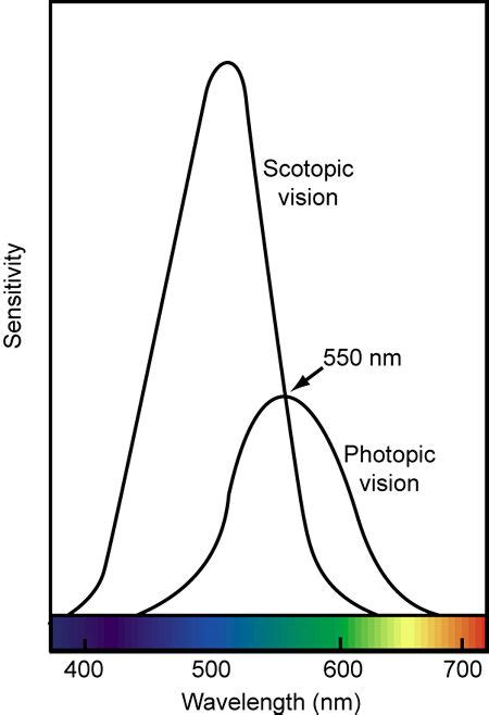 An Eye for Color: Physics & Physiology Page 2 | Sound & Vision