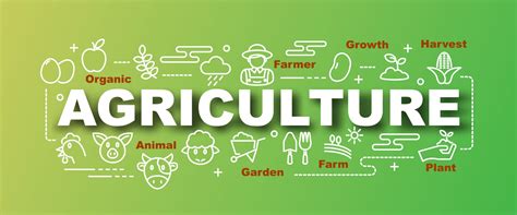 agriculture vector trendy banner 2236124 Vector Art at Vecteezy