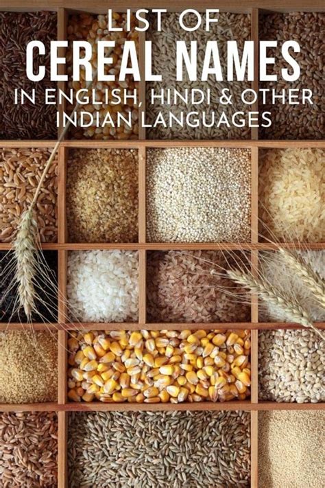 Cereals Names | Names of Grains in English, Hindi, Tamil | Cereals List