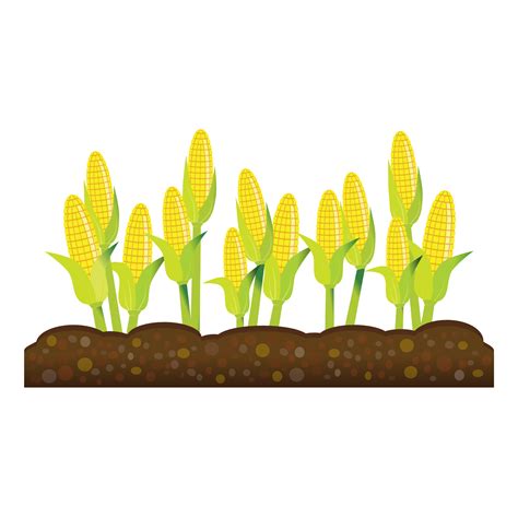 Crops clipart corn cob, Picture #839682 crops clipart corn cob