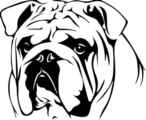 English Bulldog decal by DragonflyVinyls on Etsy