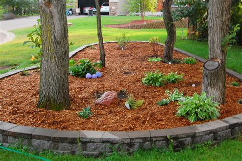 How Much Mulch Do I Need? Here's How to Know | HouseLogic