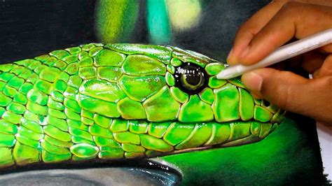 Realistic Snake Drawing - How to draw a realistic snake, draw real ...