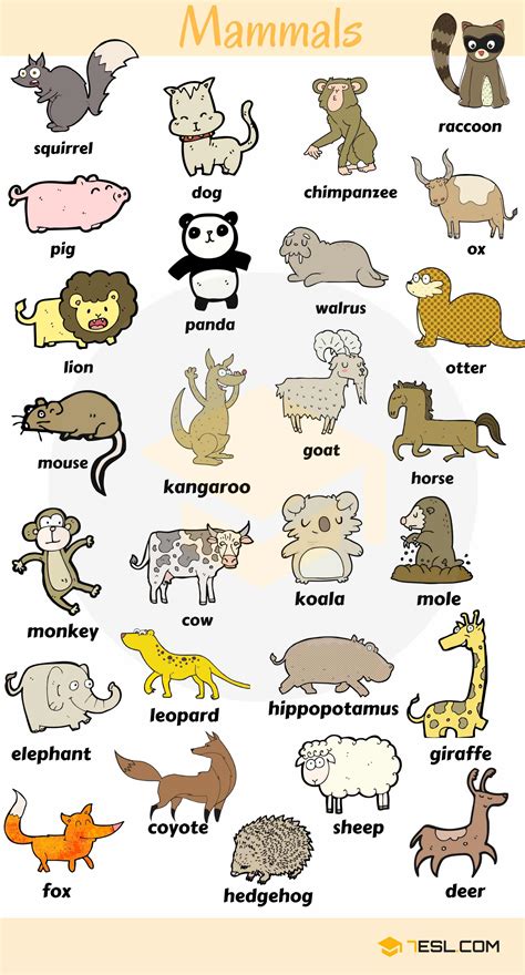 Learn Animal Names in English - ESLBuzz Learning English