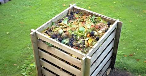 Getting Started with Composting & Sustainable Gardening – Snappy Living